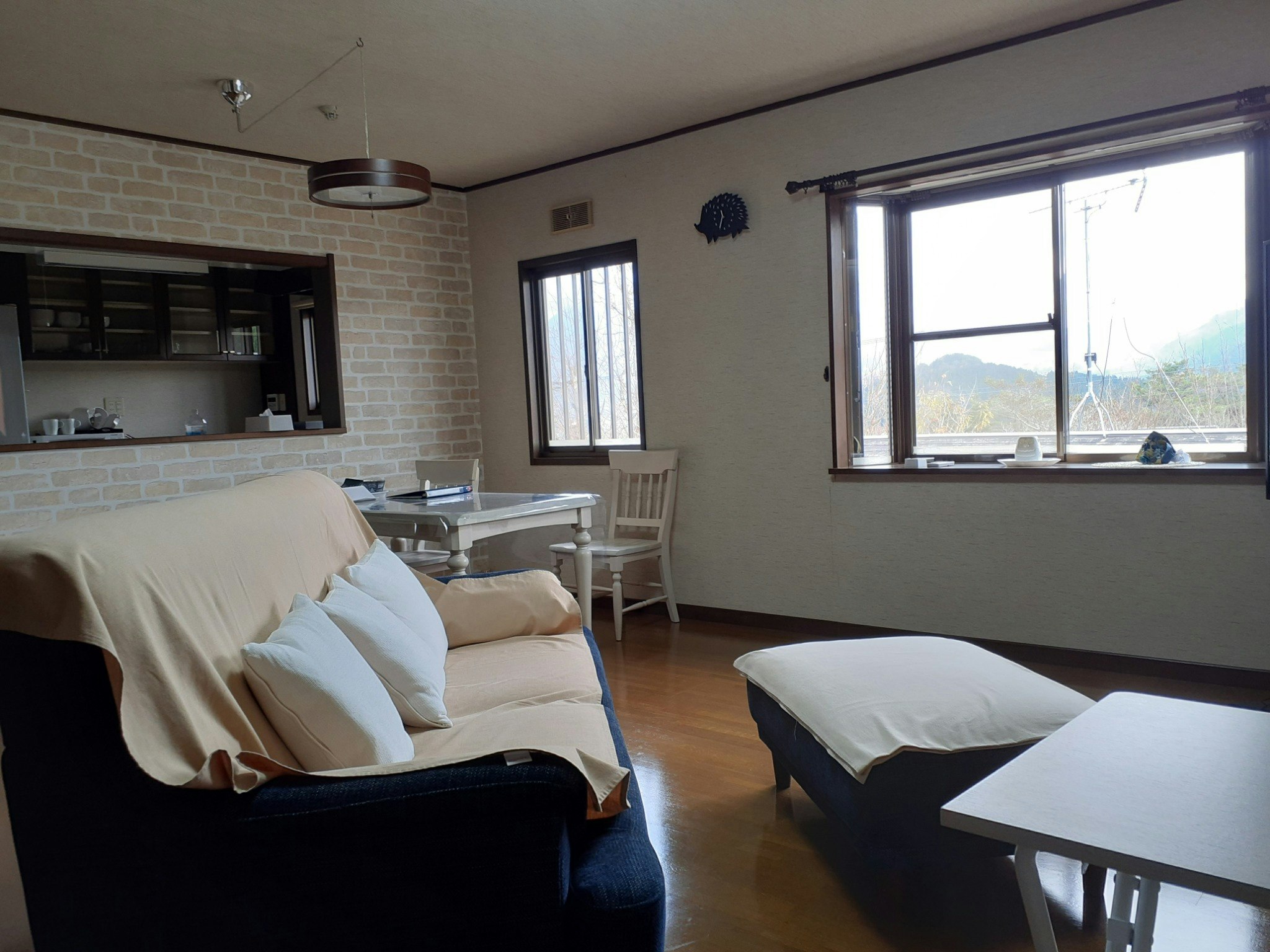 阿蘇岳が一望の自家温泉付き貸別荘 Open2年目で広く綺麗な内装、無料動画視聴にSwitchまで